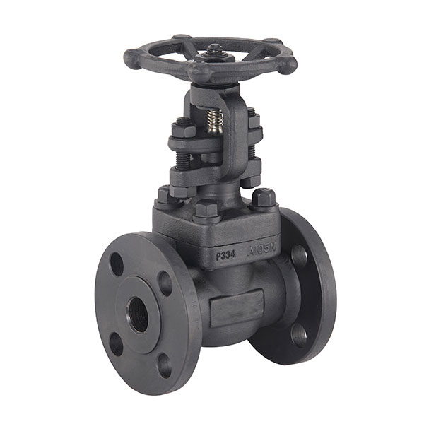 Forged Steel Gate Valve