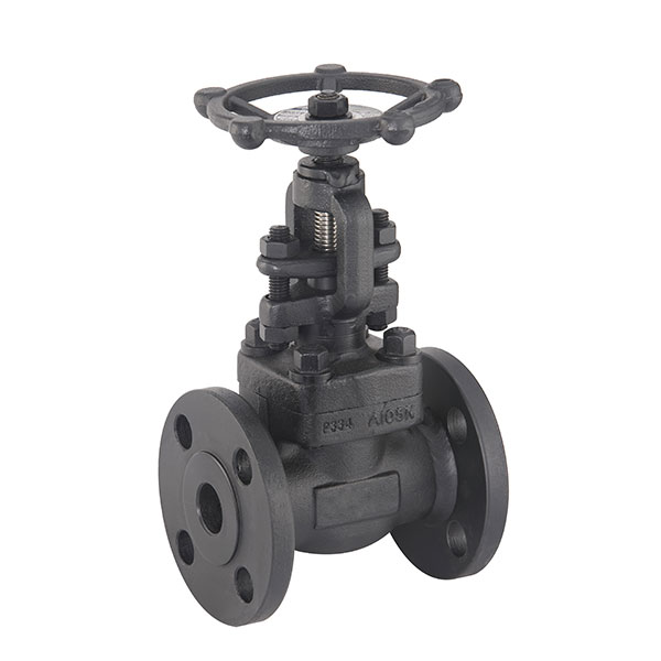 Forged Steel Globe Valve