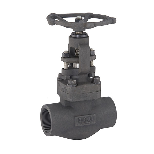 Forged Steel Globe Valve