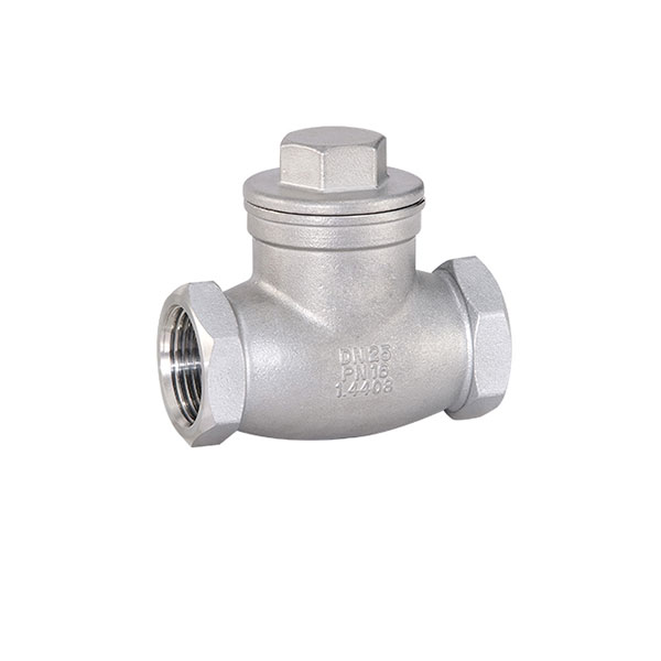 CS Swing Check Valve