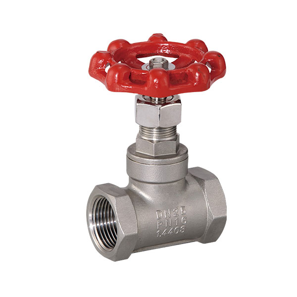 LS Globe Valve